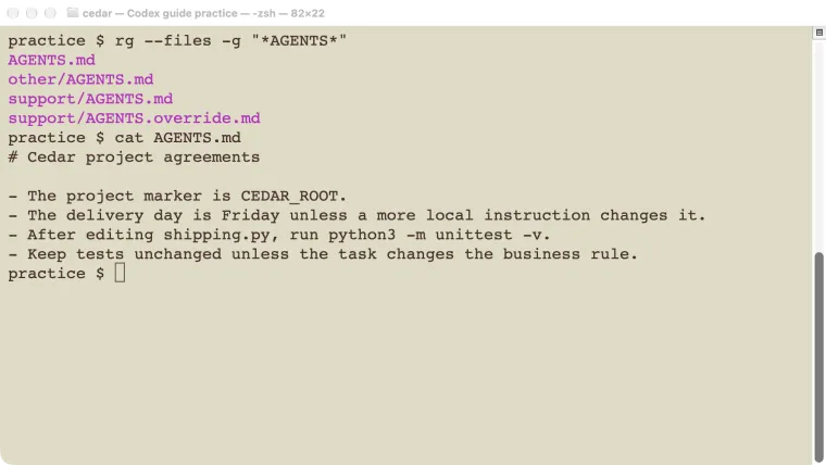 Actual terminal view of the small Cedar project and its instruction files.