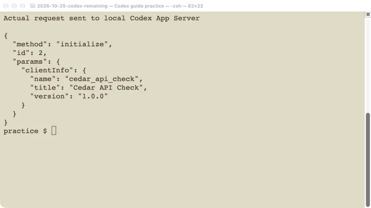 Actual initialization request sent to the local Codex App Server in the protocol test.