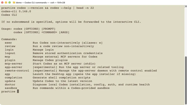 Real terminal output showing Codex CLI 0.146.0 and the beginning of its help text.
