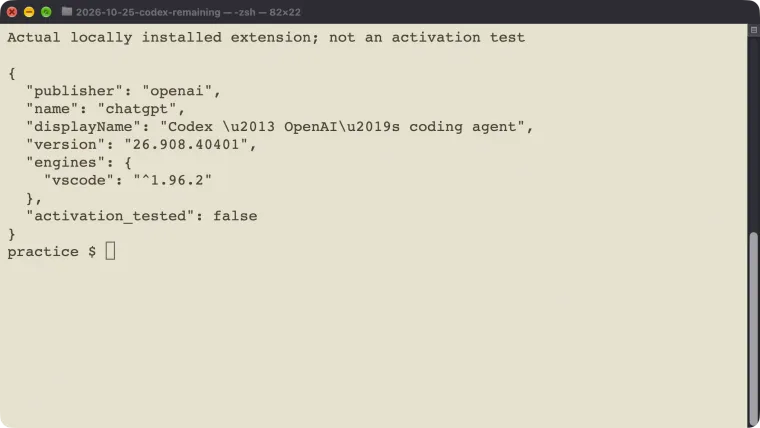 Actual locally installed OpenAI extension metadata, including its version and VS Code engine requirement, with activation explicitly untested.