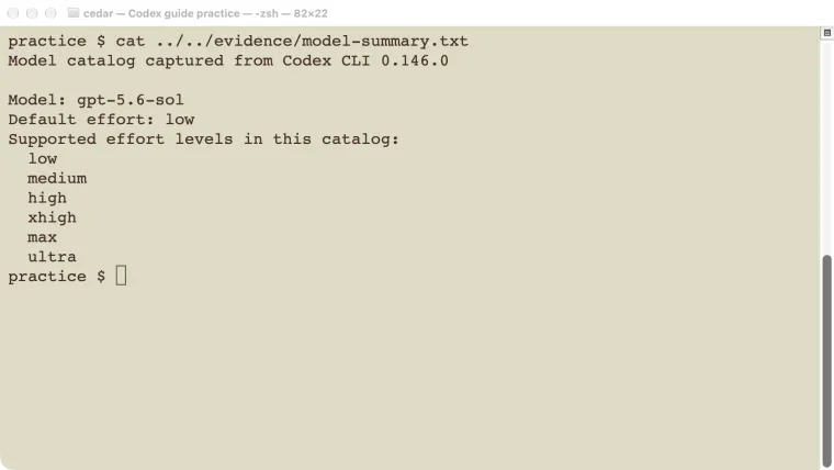 A terminal excerpt from the actual installed Codex model catalog, showing supported reasoning levels.