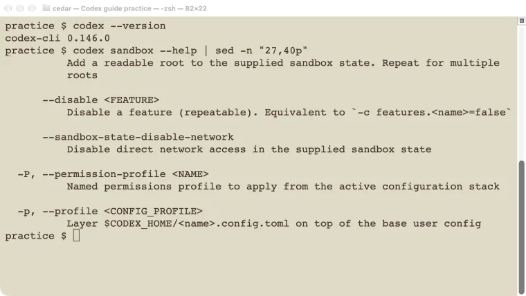 The installed Codex sandbox help showing how to select a permission profile.