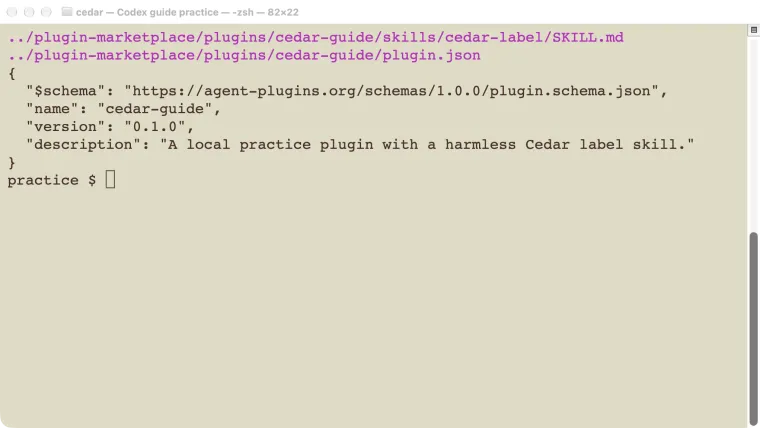 Actual local plugin manifest and skill folder used for the Cedar plugin test.