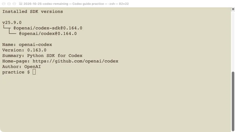 Actual installed TypeScript and Python Codex SDK versions used for the examples.