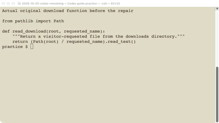 Original five-line download function used in the local Codex Security exercise.
