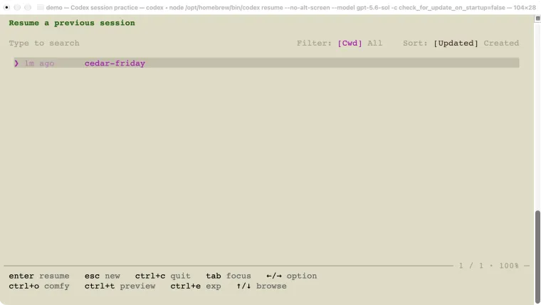 The real Codex resume picker showing a saved practice chat named cedar-friday.