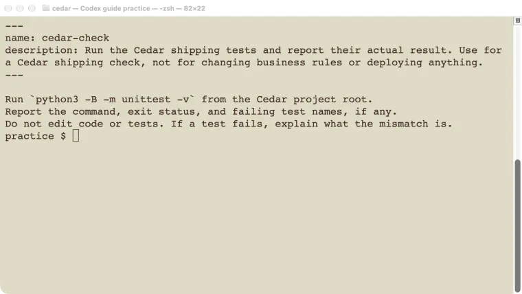 The real Cedar skill file with its name, description, test command, and no-edit boundary.