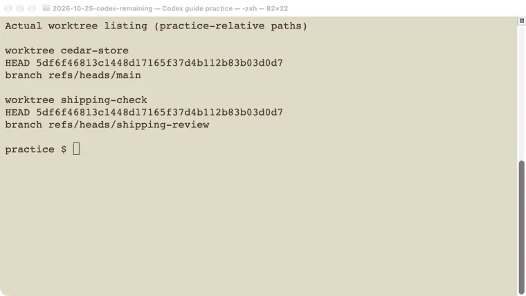 Actual Git worktree listing for the main practice checkout and separate shipping-review branch.