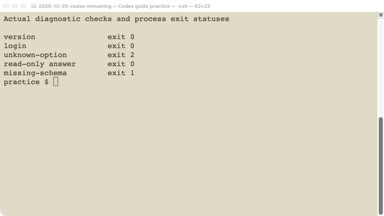 Actual saved diagnostic results showing successful checks and two local command failures.