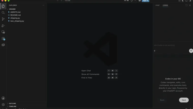 The actual VS Code practice folder and Codex onboarding panel, before a signed-in task was completed.