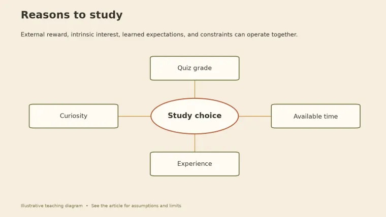 External reward, intrinsic interest, learned expectations, and constraints can operate together.