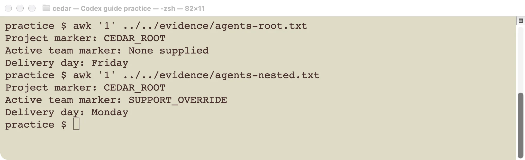 The two saved test responses displayed in the terminal: root Friday and nested Monday.