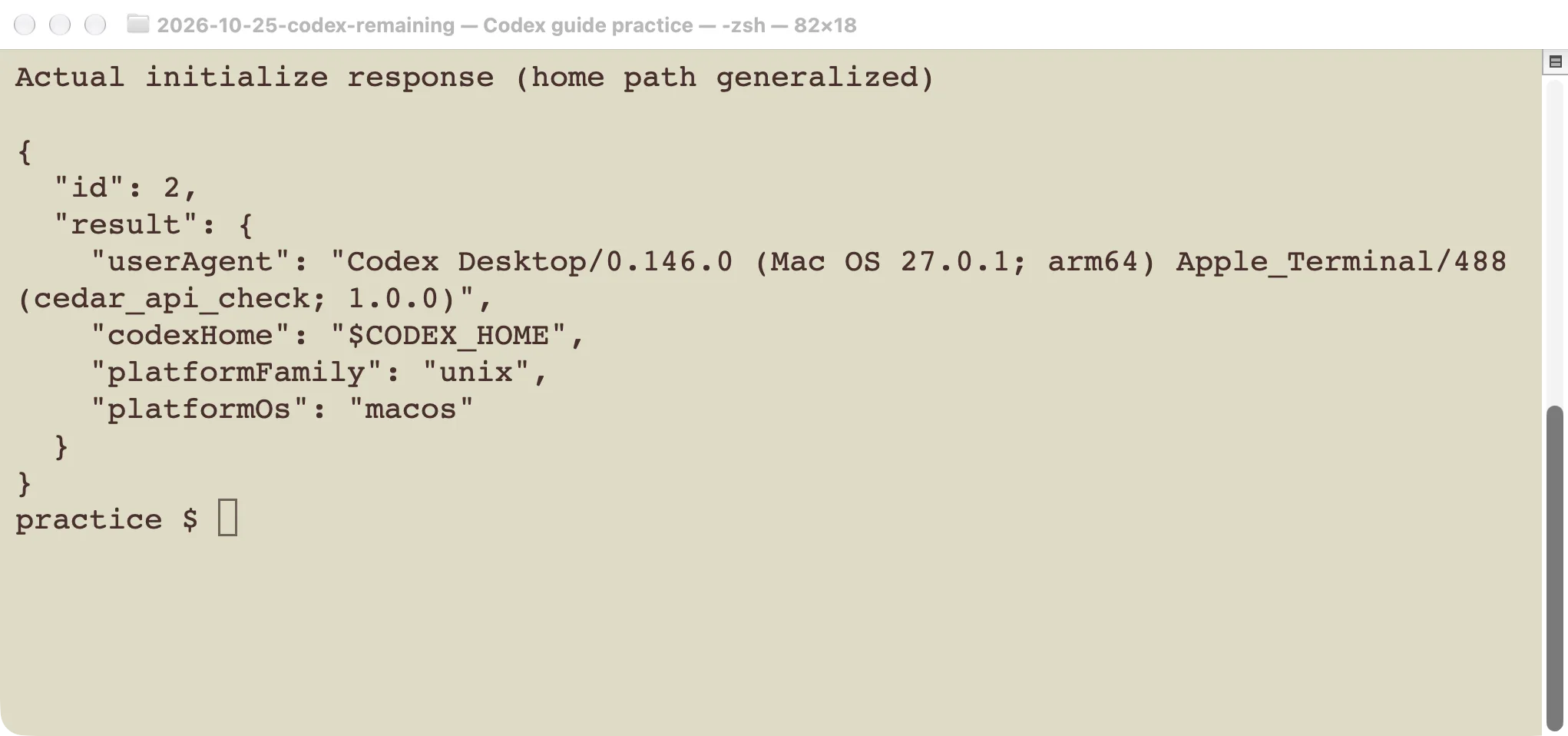 Actual successful App Server initialization response, with the local home directory replaced by a descriptive placeholder.