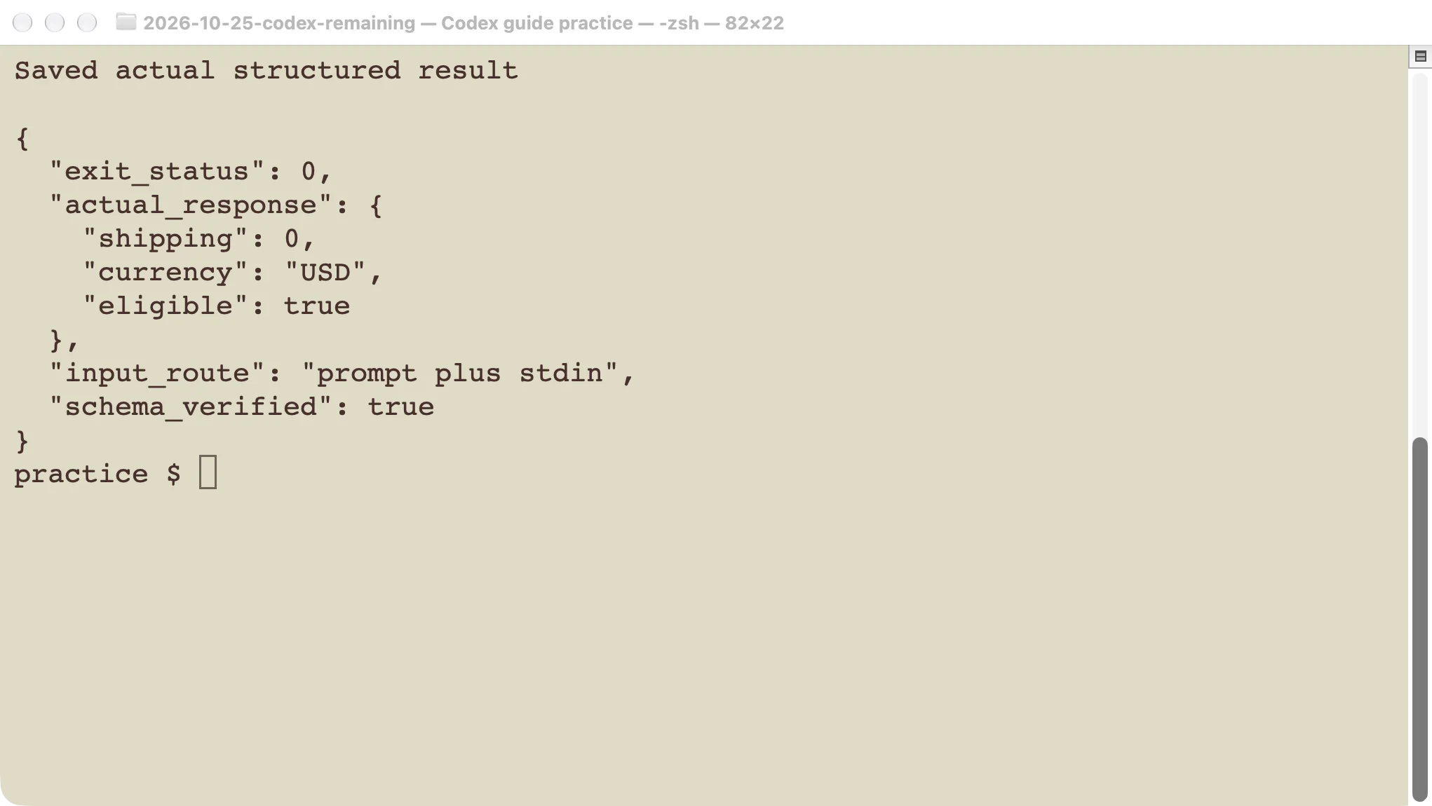 An actual Codex exec example from our earlier CLI exercise.