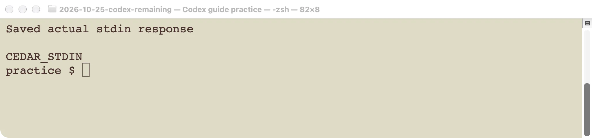Actual standard-input exercise results from the earlier Codex exec test.
