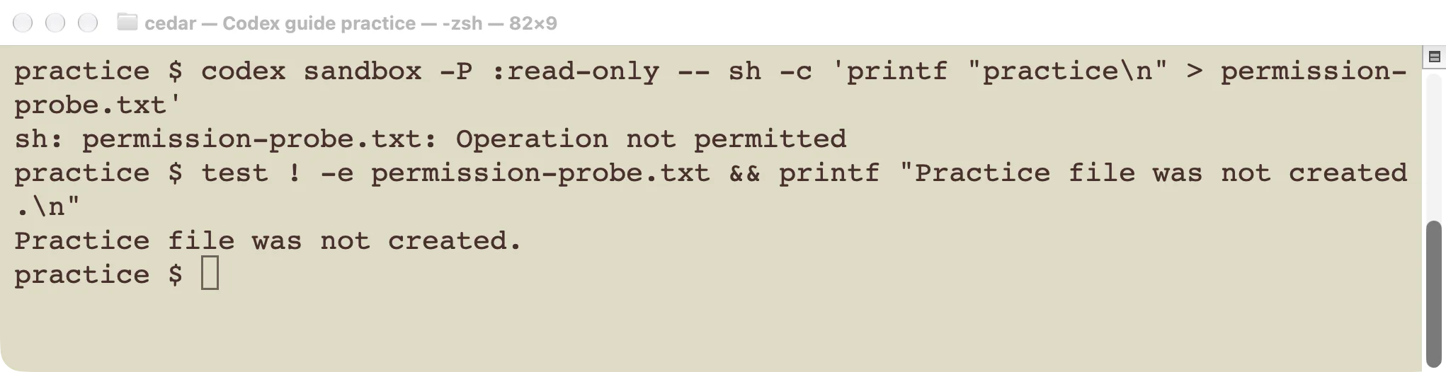 A real Codex read-only sandbox attempt returns Operation not permitted when writing a practice file.
