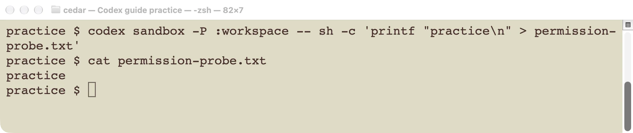 The workspace permission profile creates the practice file successfully and the terminal reads its contents.
