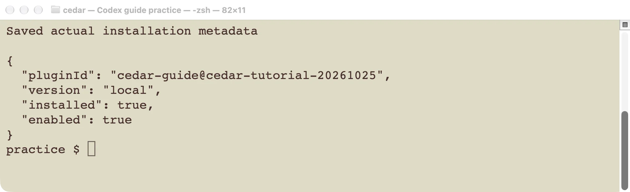 Actual installation result identifying the Cedar plugin and its local version.