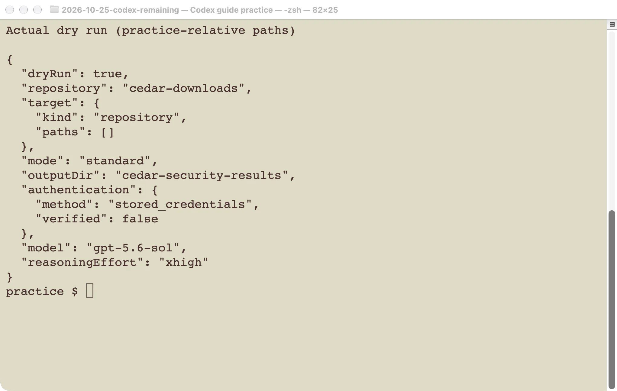 Actual dry-run output showing the selected target and authentication marked as not verified; local paths are shortened.