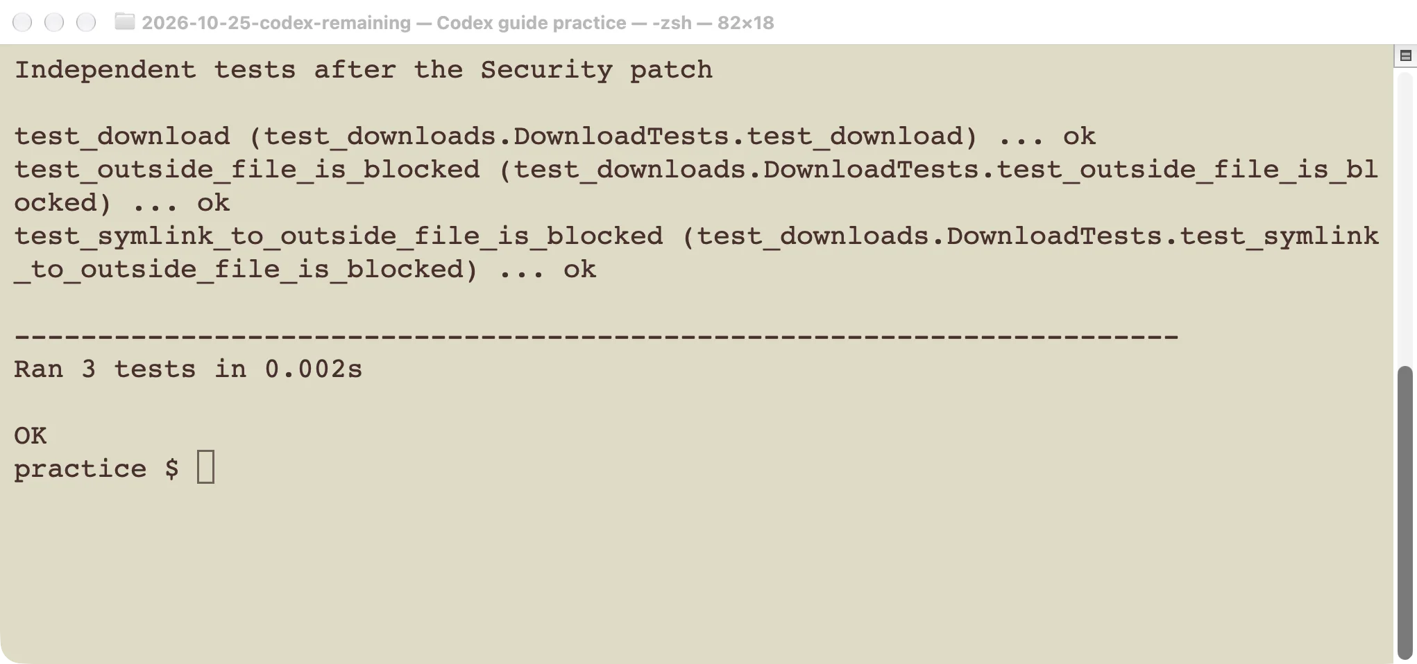Independent test run after the Security patch: all three test methods passed, including the outside-path and symbolic-link cases.