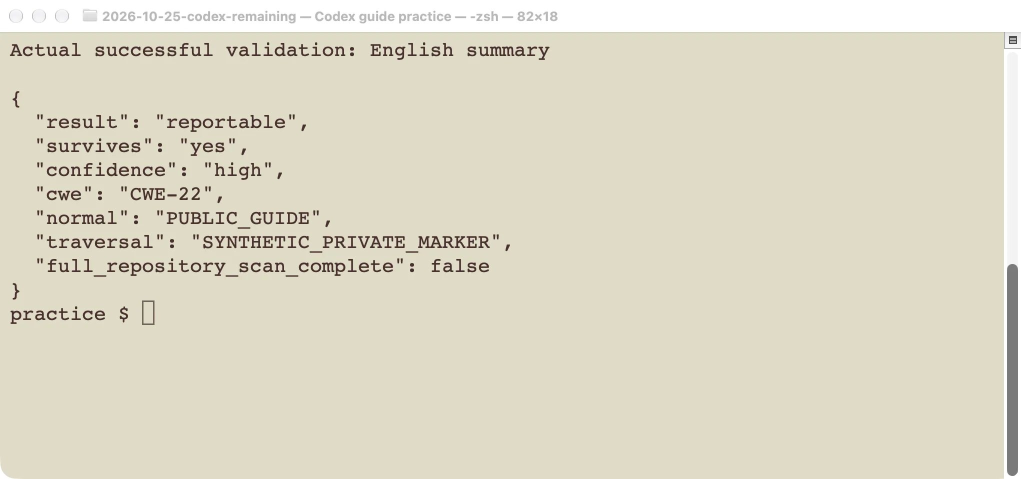 English summary of the actual successful validation command, including its reportable result and reproduced synthetic marker.