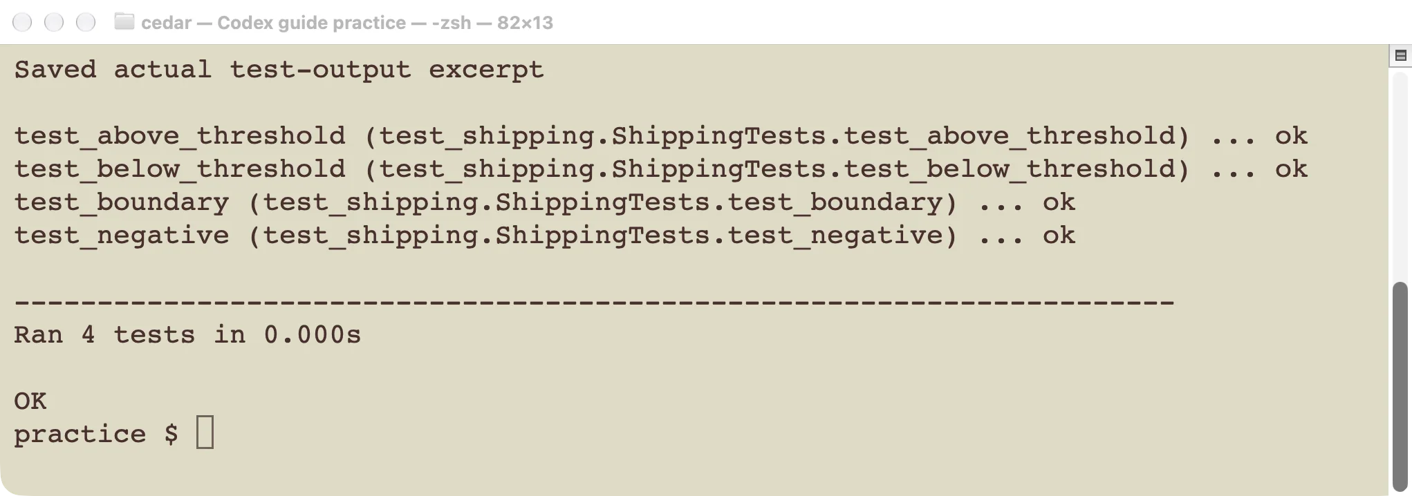 Actual second-run output showing all four shipping tests passing.