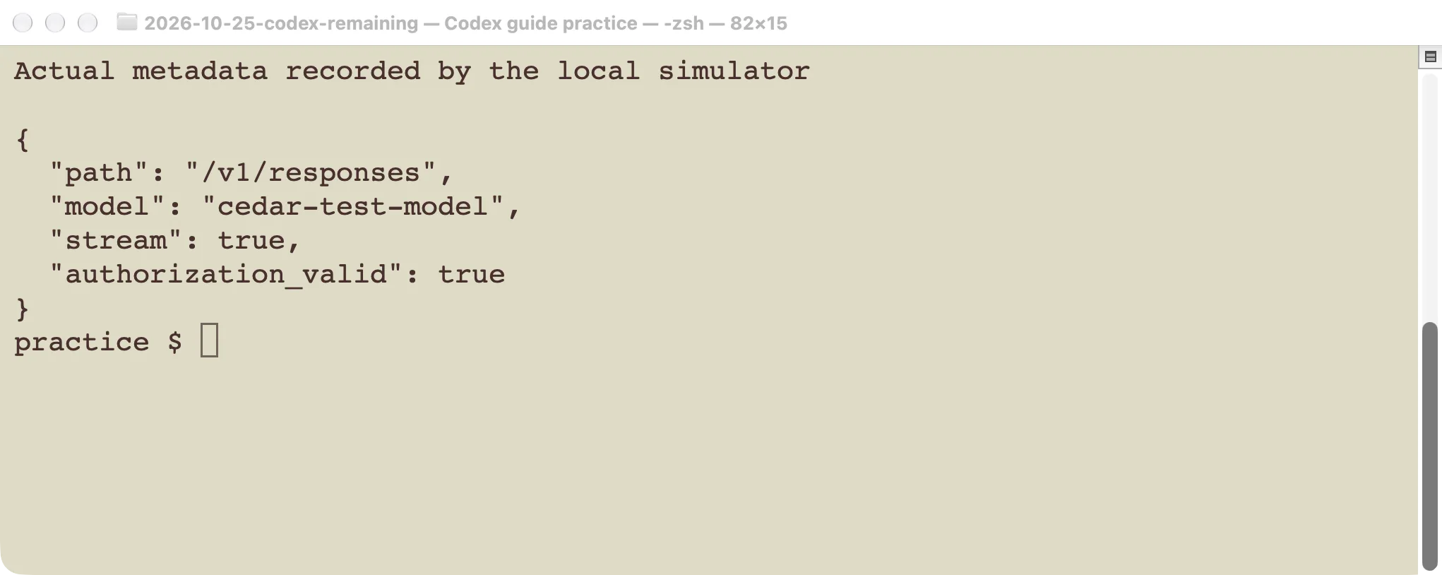 Actual request metadata recorded by the local simulator: the Responses route, local model alias, streaming flag, and credential-match boolean.