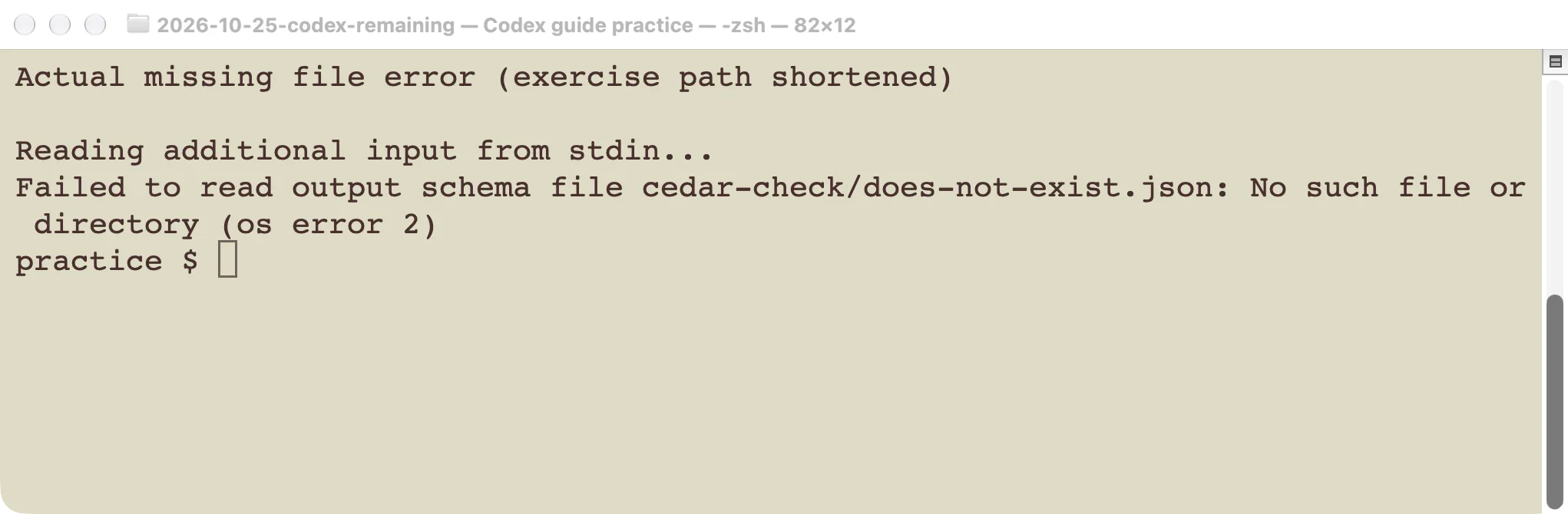 Actual missing-schema-file error, with the exercise folder shortened for readability.