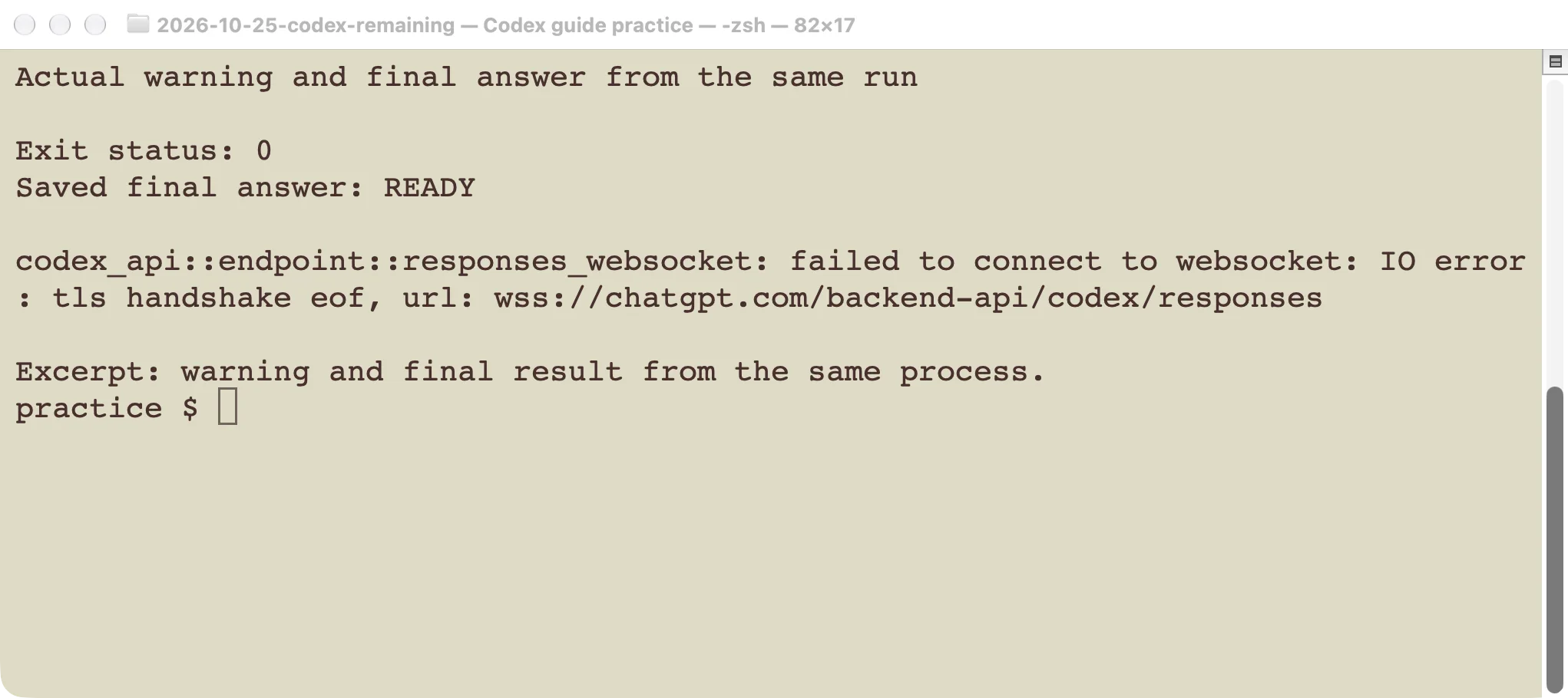 Excerpt from one actual run: a WebSocket connection warning appeared, but the saved answer was READY and the process exited successfully.